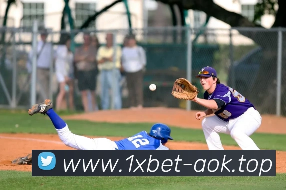 1xbet官网服务体系